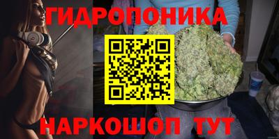 Альфа ПВП Можайск
